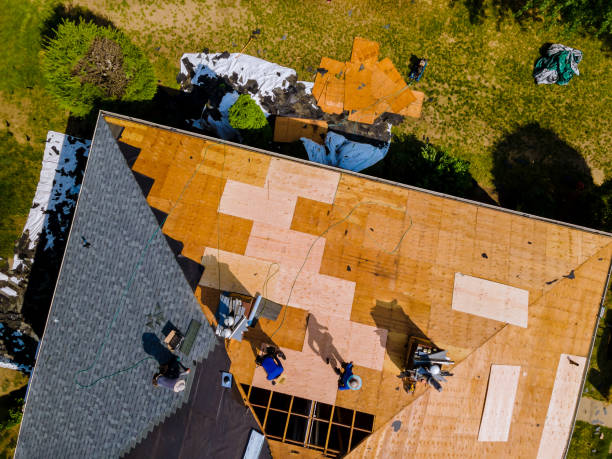 Best Local Roofing Companies  in Hurricane, WV